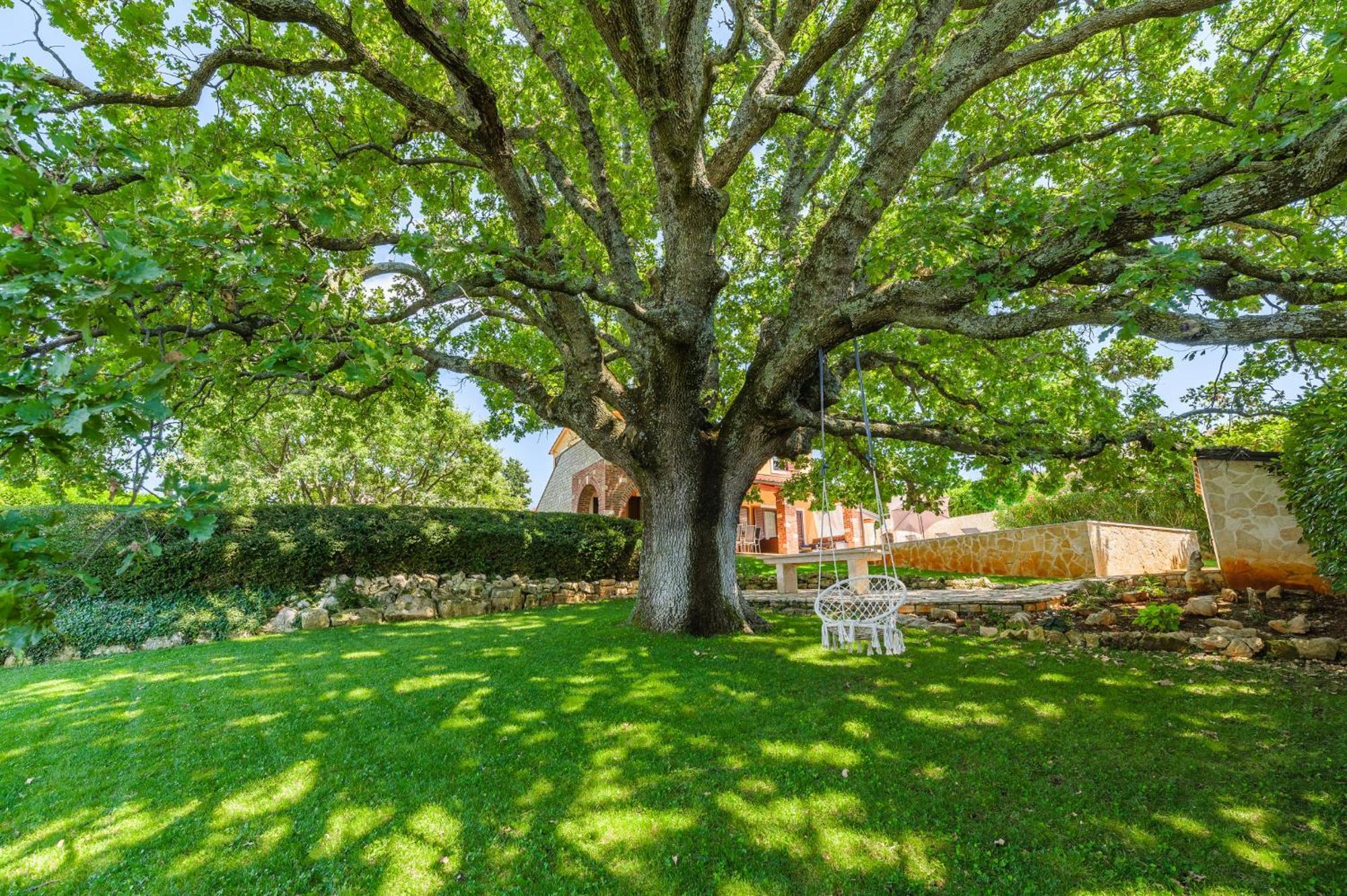 Villa Hrast Bacva Višnjan Extérieur photo