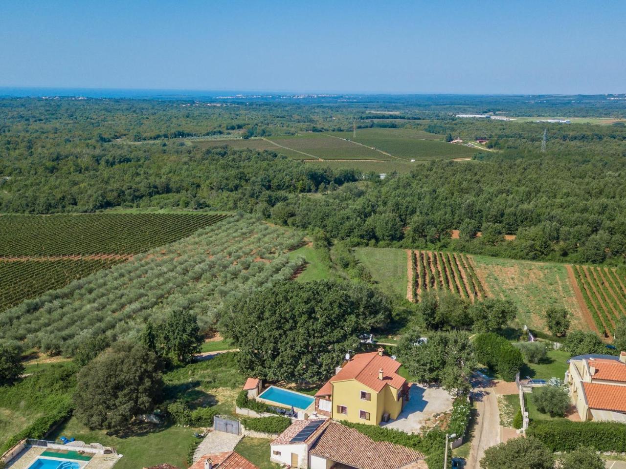 Villa Hrast Bacva Višnjan Extérieur photo